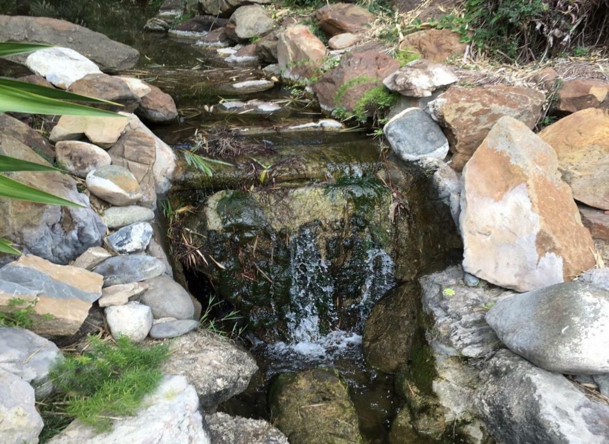 Jardines De Las Golondrinas Marbella Eksteriør billede